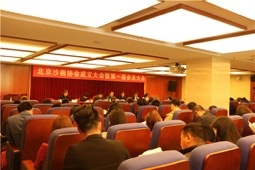 北京沙画协会成立大会暨第一届会员大会在北京市文联顺利召开